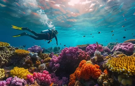 Scuba Diving Cozumel Tours Excursions