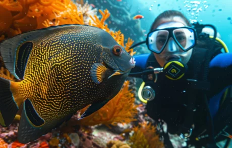 Scuba Diving Cozumel Tours Excursions