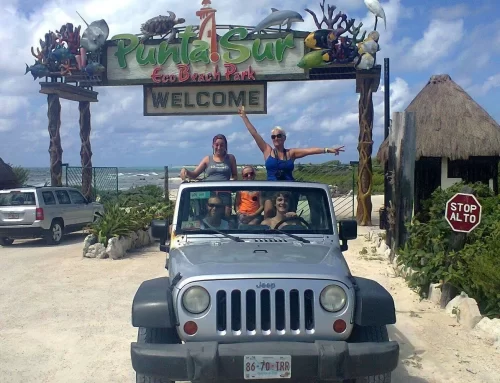 Private Jeep Excursion in Cozumel with Lunch and Snorkeling
